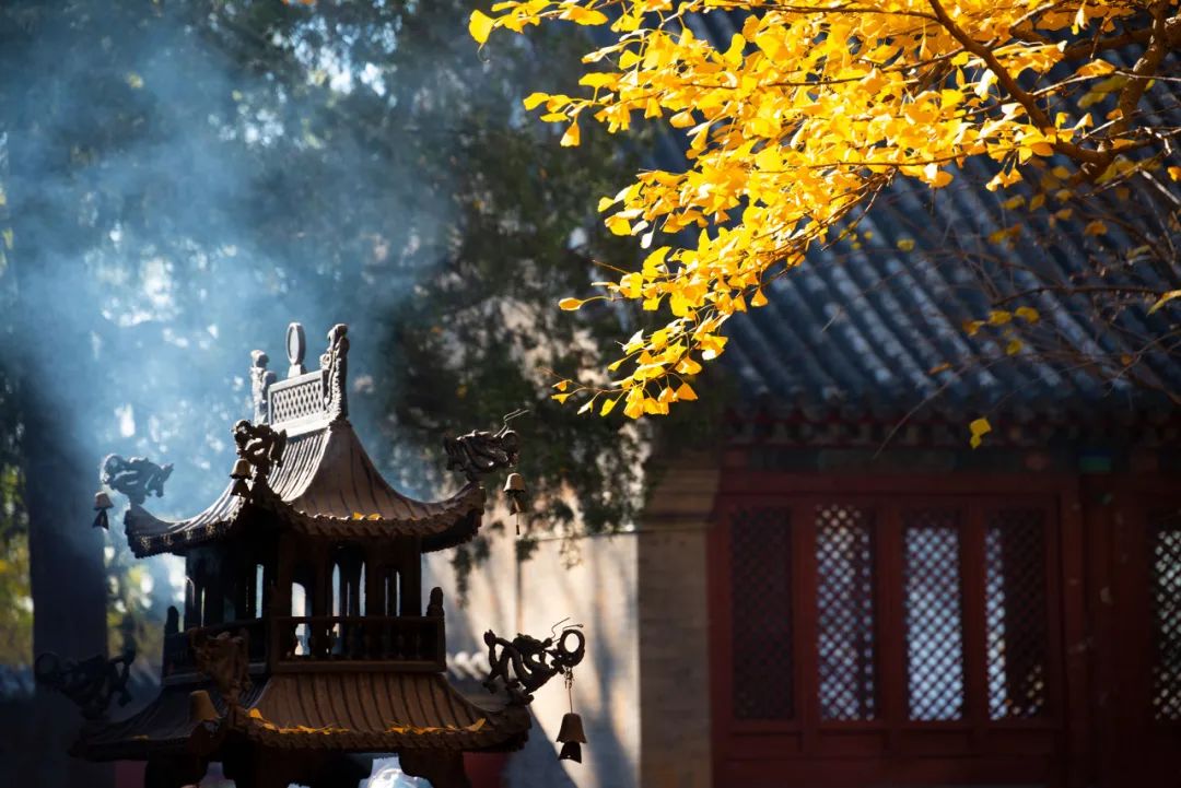 1698972457544076.jpg 1698972457544076.jpg